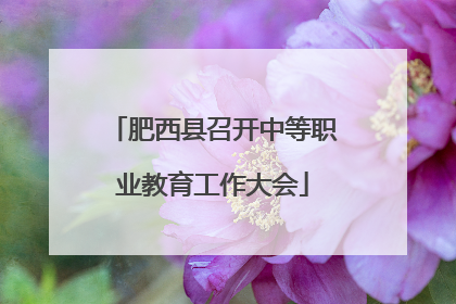 肥西县召开中等职业教育工作大会